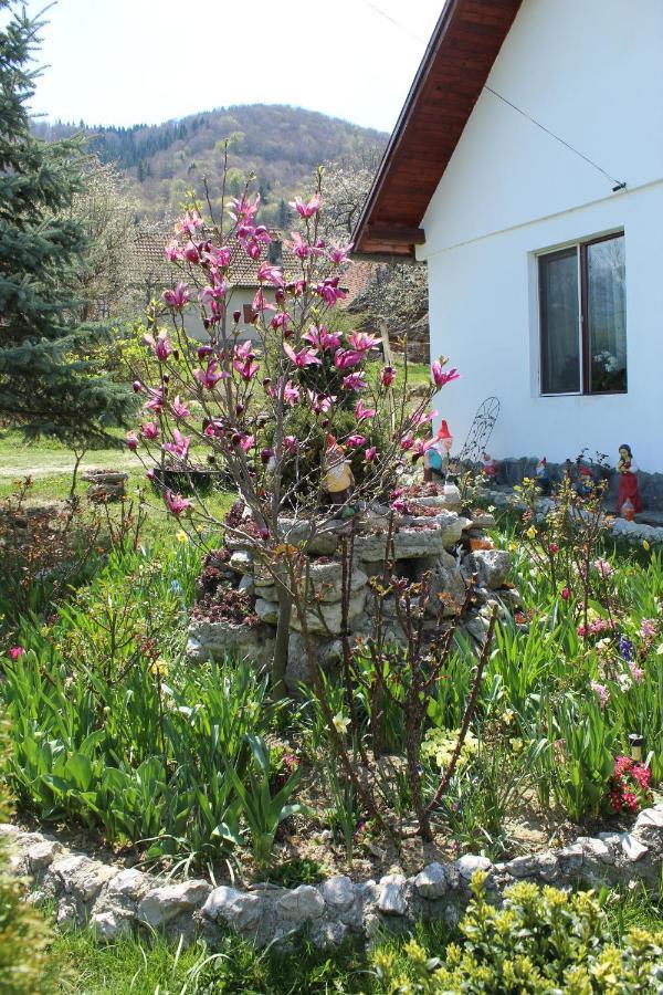 Casa Veverita * Predeluț